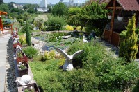 /album/zahradne-inspiracie-mdc5/pre-rastika-a-lucku-mdc5-jpg/